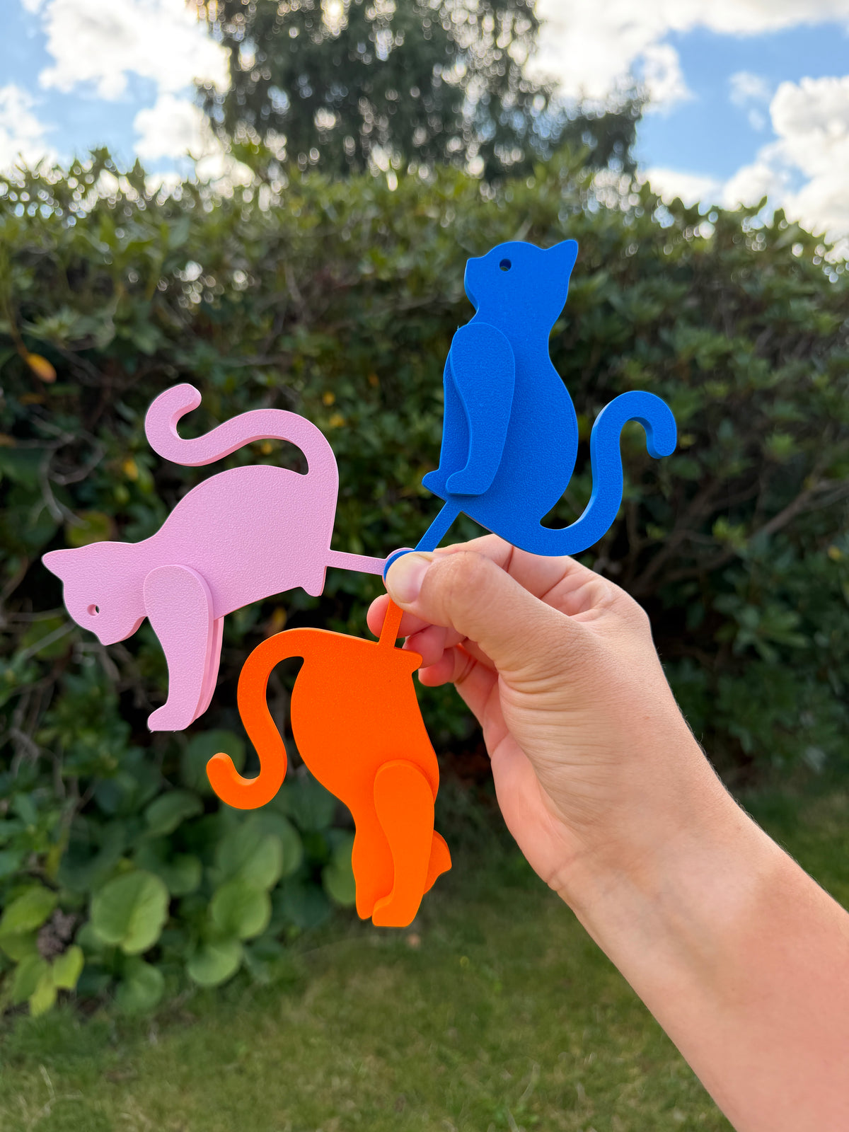 Curious Cat – Birdie Compatible