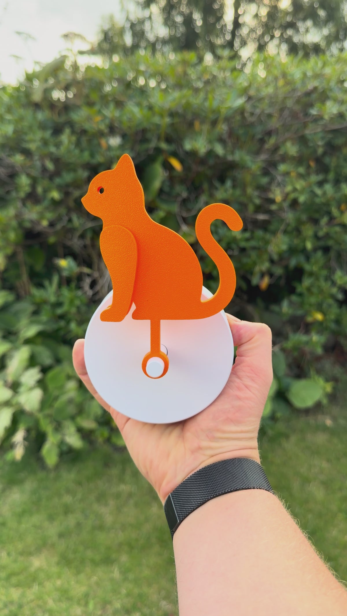 Curious Cat – Birdie Compatible