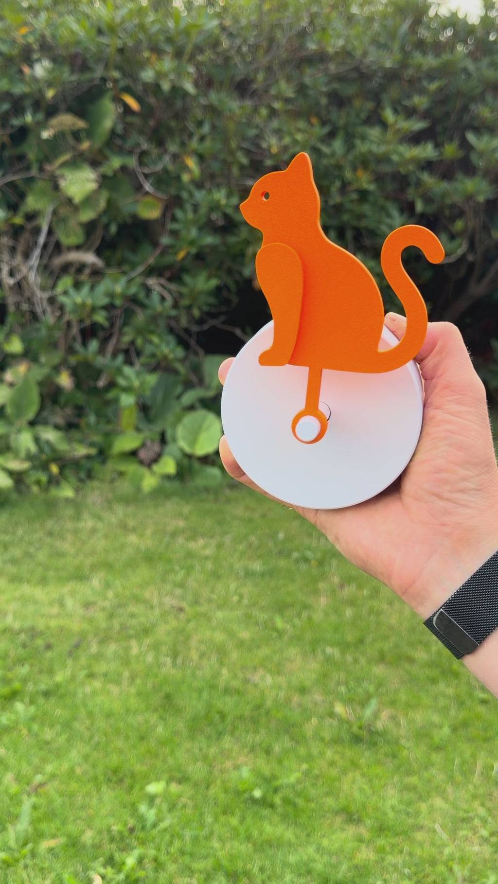 Curious Cat – Birdie Compatible