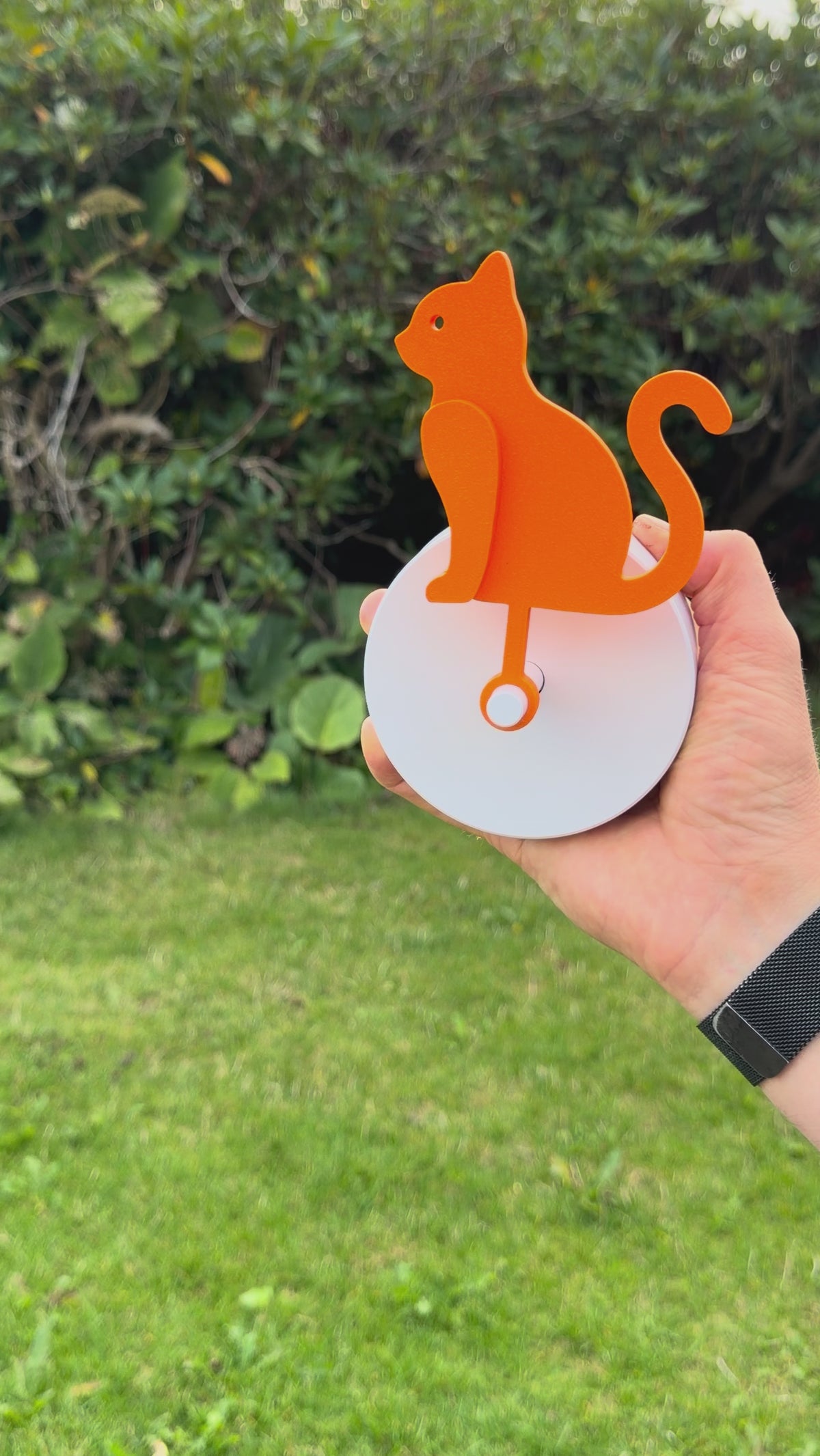 Curious Cat – Birdie Compatible